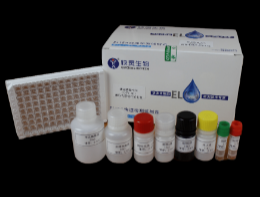 豬瘟病毒抗體檢測試劑盒