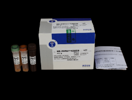 豬細小(xiǎo)病毒熒光PCR檢測試劑盒