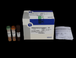 禽流感病毒 H5 亞型熒光 PCR 擴增試劑盒
