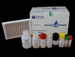 牛羊布氏杆菌抗體檢測試劑盒