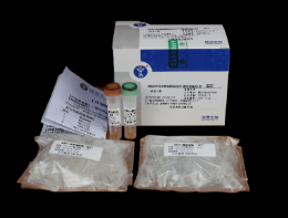 （II級防污）非洲豬瘟熒光PCR試劑盒