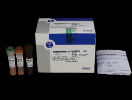 新城疫病毒熒光RT-PCR檢測試劑盒
