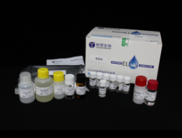 氯黴素快速檢測試劑盒